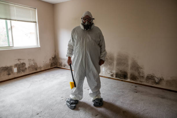Best Mold Removal Near Me  in Manchester, IA